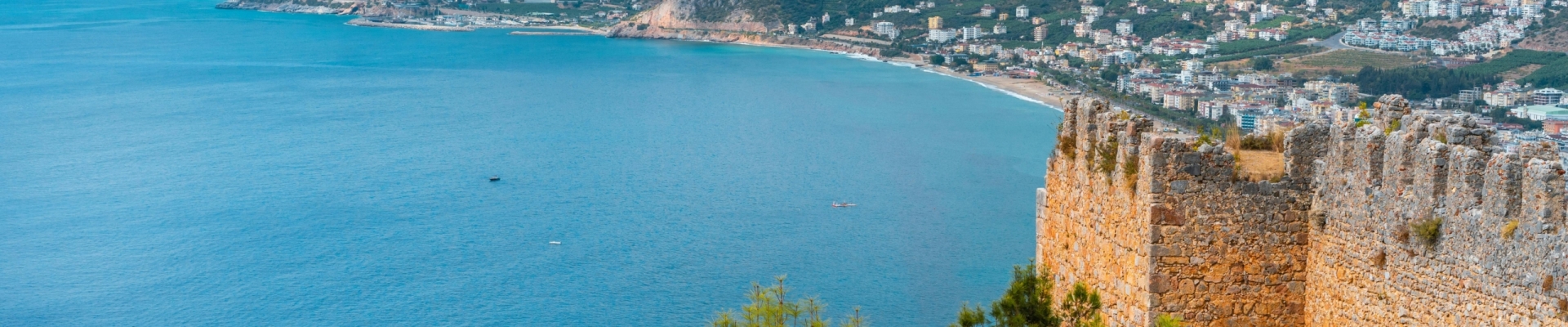 pexels-freestockpro-5771396