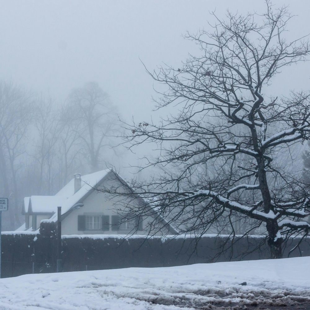 pexels-ozrenildo-1005394